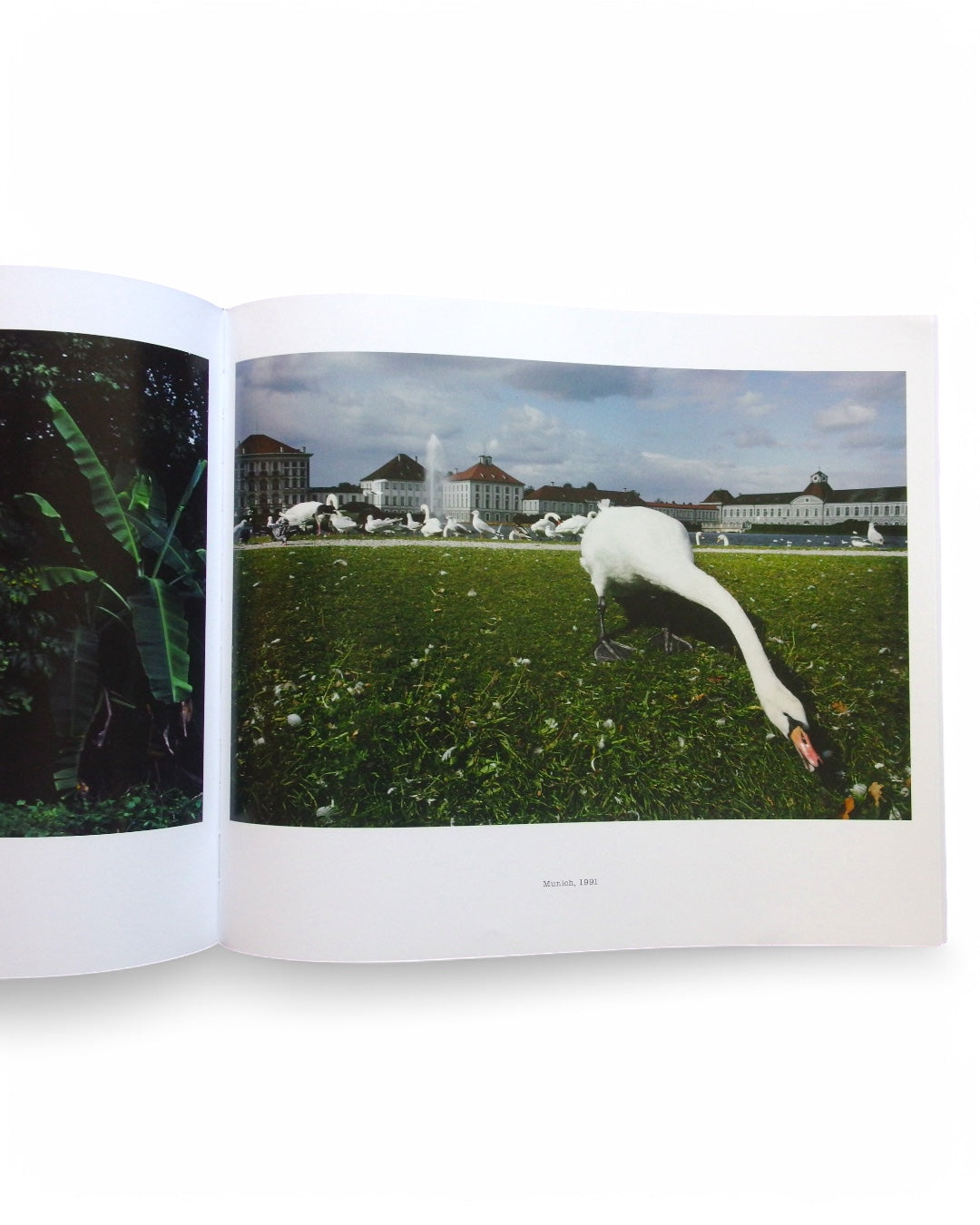 Dislocations - Alex Webb