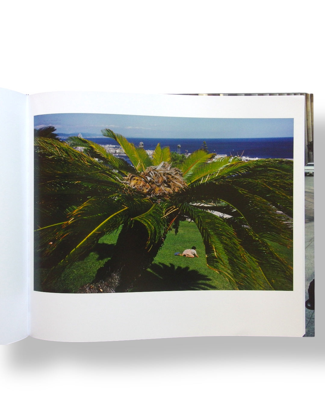 Dislocations - Alex Webb