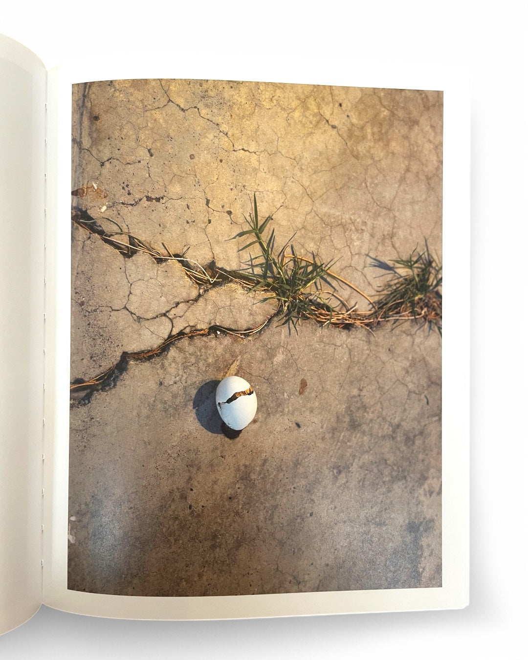 i’ll let you be in my dreams if i can be in yours