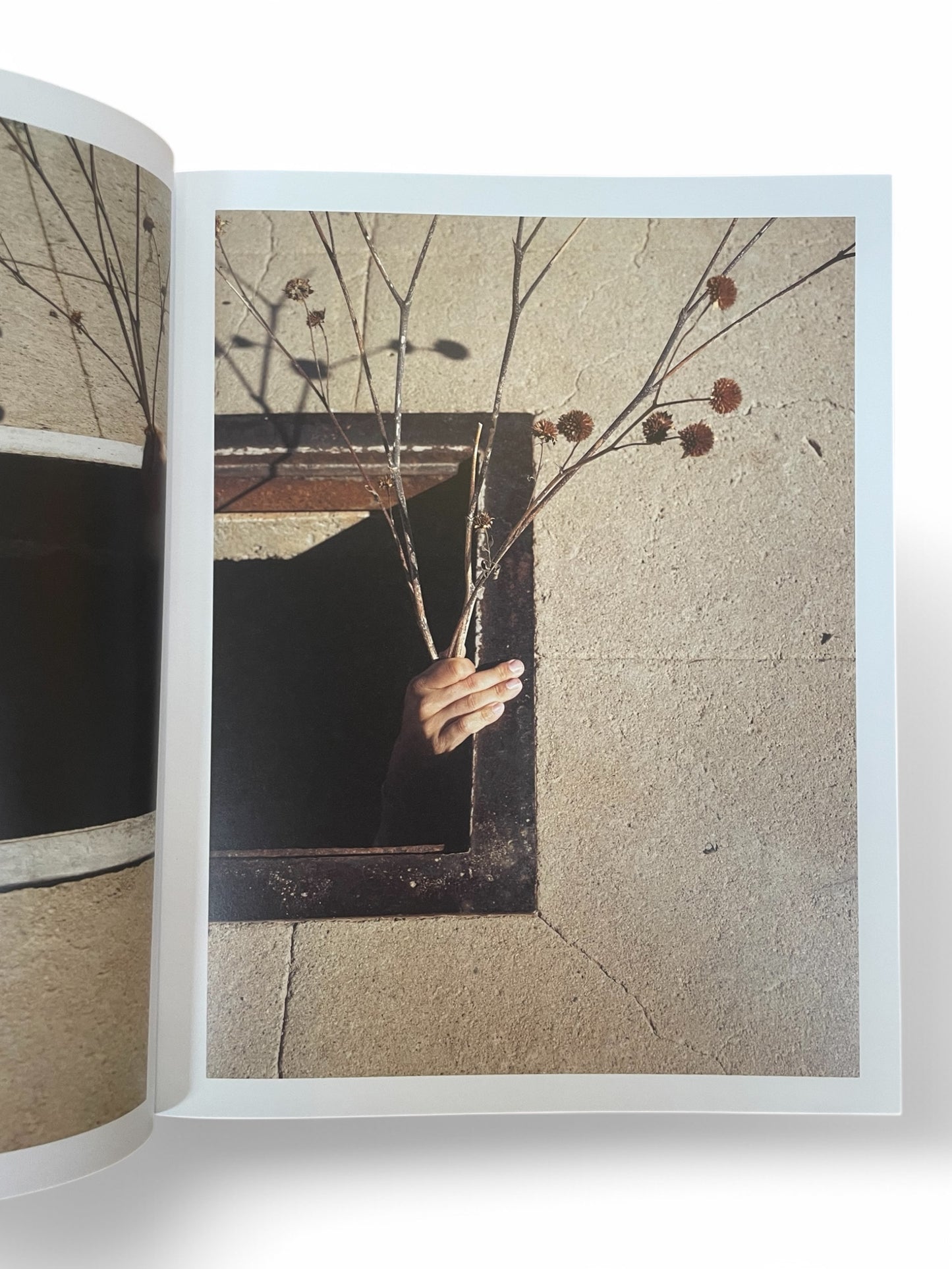 i’ll let you be in my dreams if i can be in yours