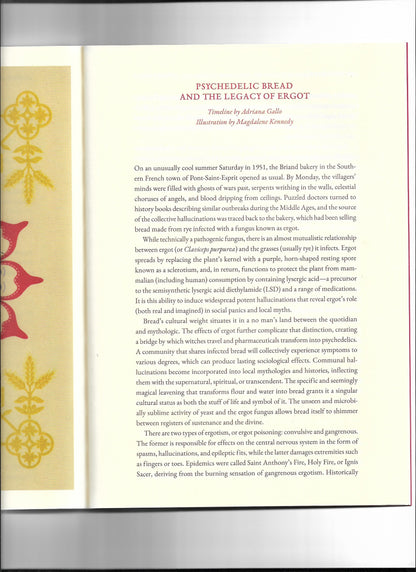 CAKE ZINE Vol. 6 Daily Bread Winter 2025 interior spread