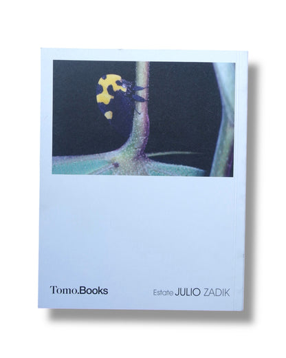 Ámbar - Julio Zadik