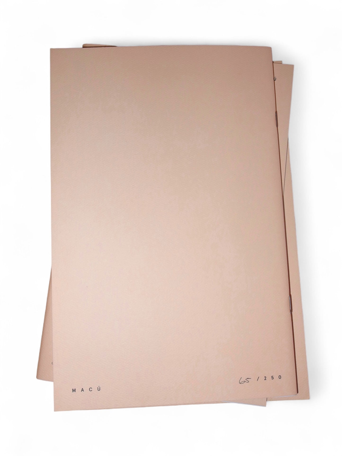 MACU 02 - 2017, Gonçaga.