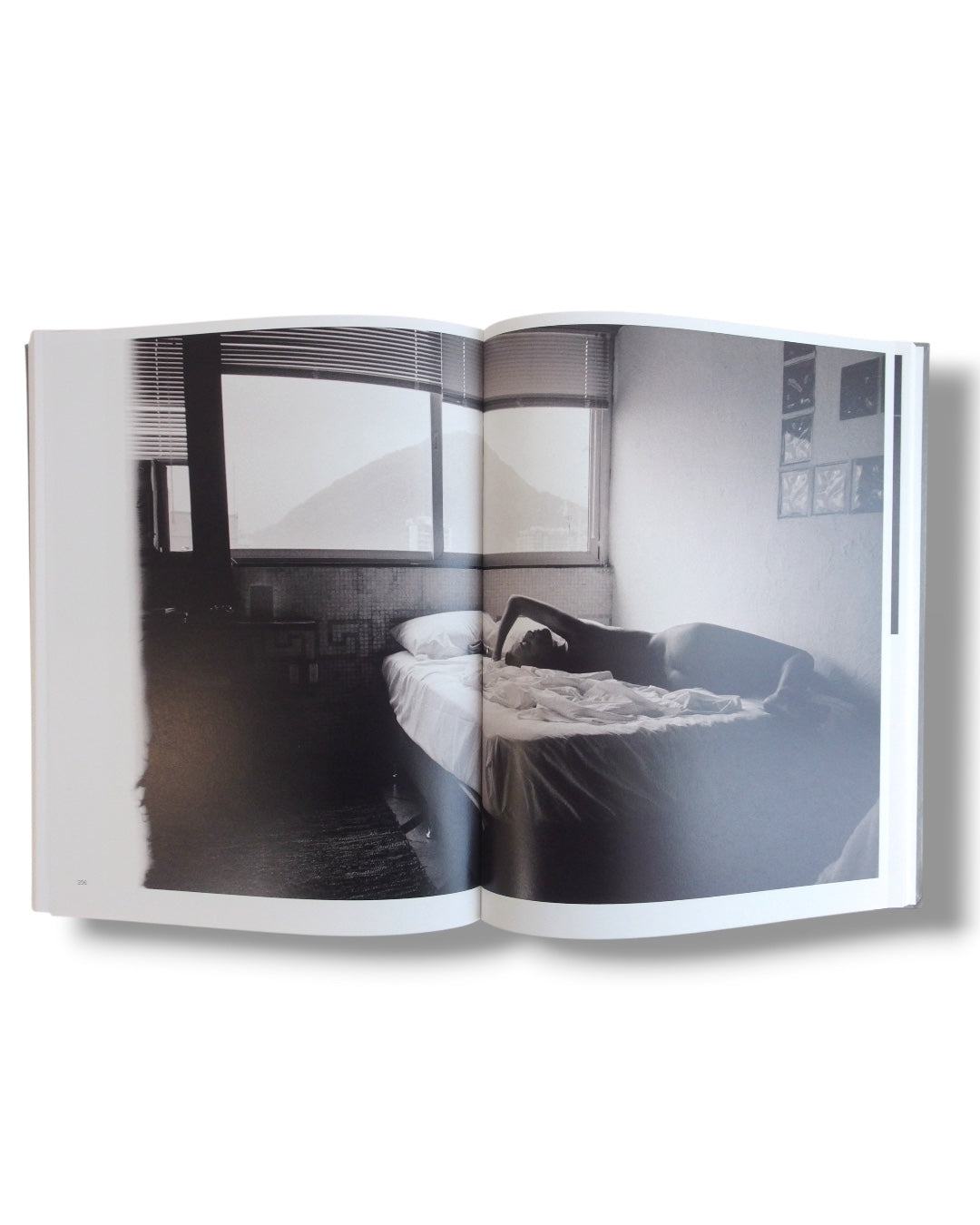 Geography - Zora Sicher