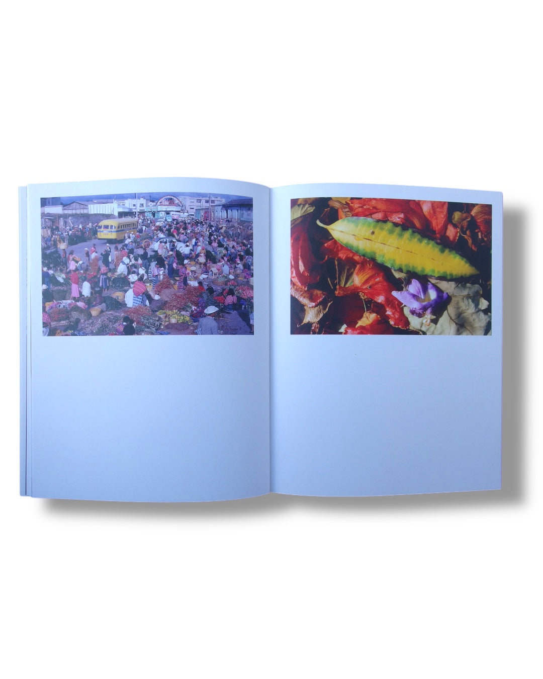 Ámbar - Julio Zadik