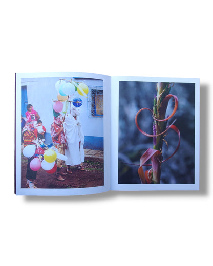 Ámbar - Julio Zadik