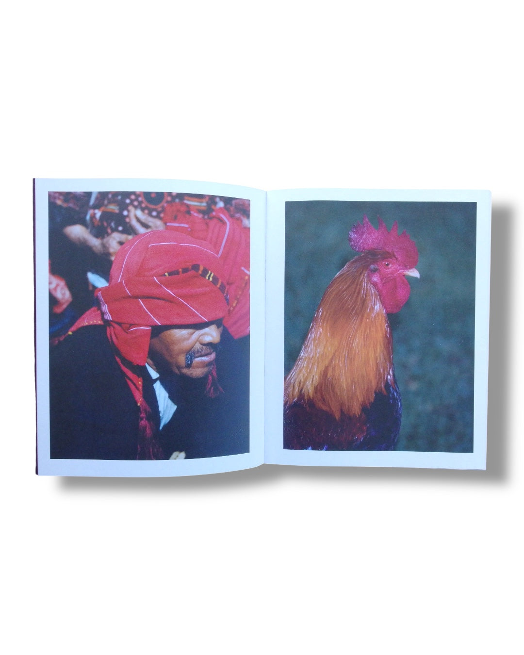 Ámbar - Julio Zadik