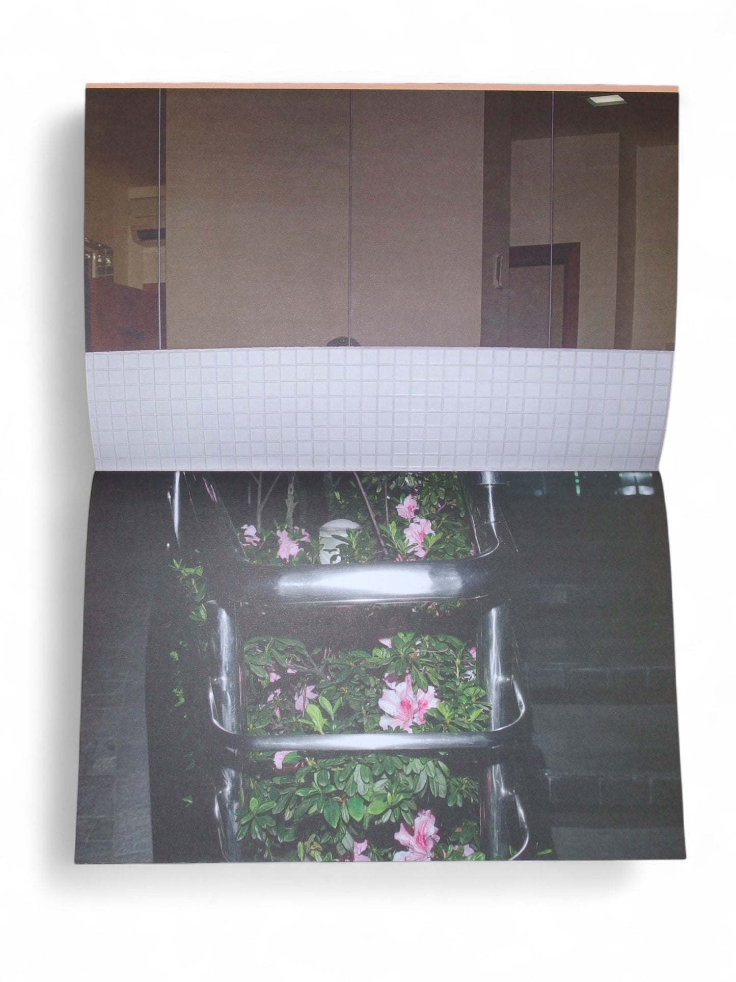 MACU 02 - 2017, Gonçaga.