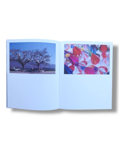 Ámbar - Julio Zadik