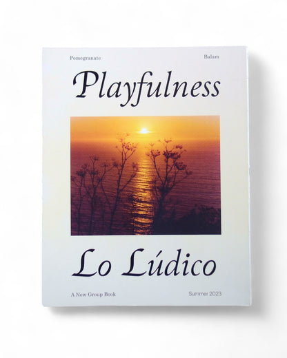 Playfulness