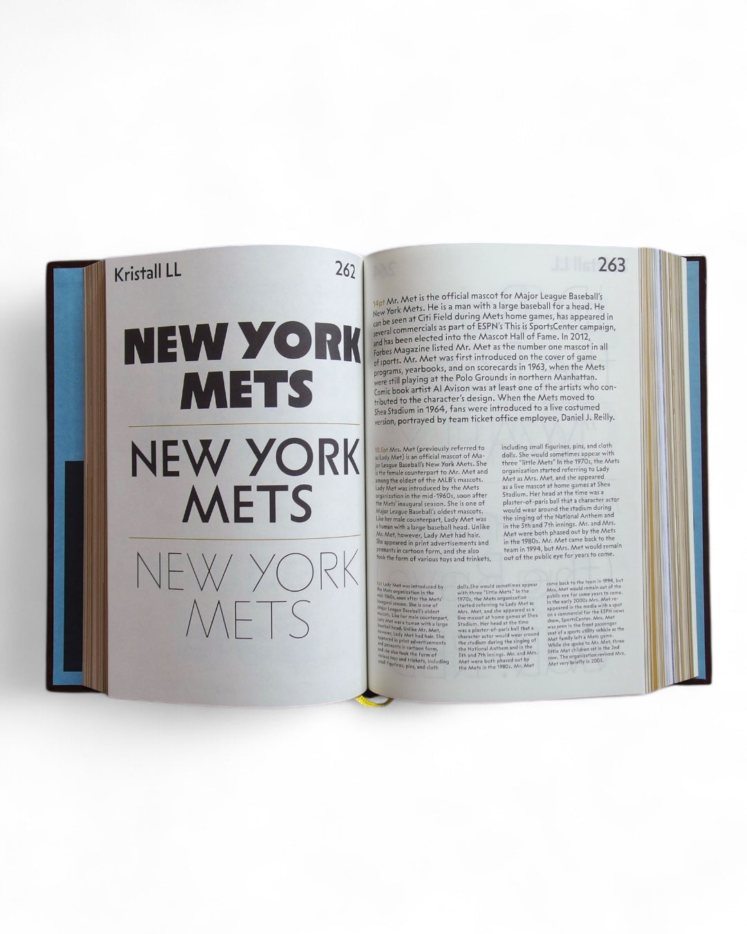 shoplifters ISSUE 10