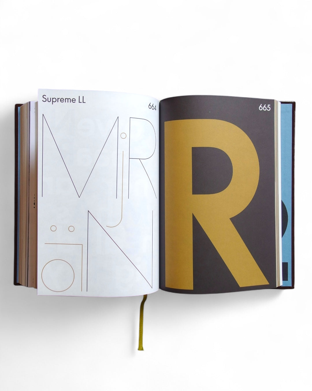 shoplifters ISSUE 10